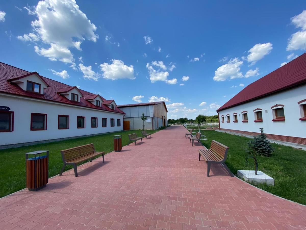 Terra Penzion Jasova Zewnętrze zdjęcie